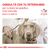 VETERINARY HEALTH NUTRITION CANINE - URINARY AGEING 7+ - 1,5 Kg. - tienda online