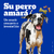 Pedigree Biscrok Multi Galletas Para Perros Adultos 100g - Pet Food Express