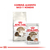 Imagen de FELINE HEALTH NUTRITION FHN AGEING+12 - Pouch 85g