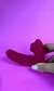 Vibrador de Calcinha Duplo com 10 Modos de Vibração e Sucção - Vai e Vem Pink na internet