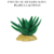 ENFEITE DE SILICONE SOMA PLANTA CACTUS 03 na internet