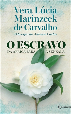 O escravo