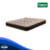 CANNON EXCLUSIVE (DOBLE PILLOW) ESPUMA 200 X 200 X 29