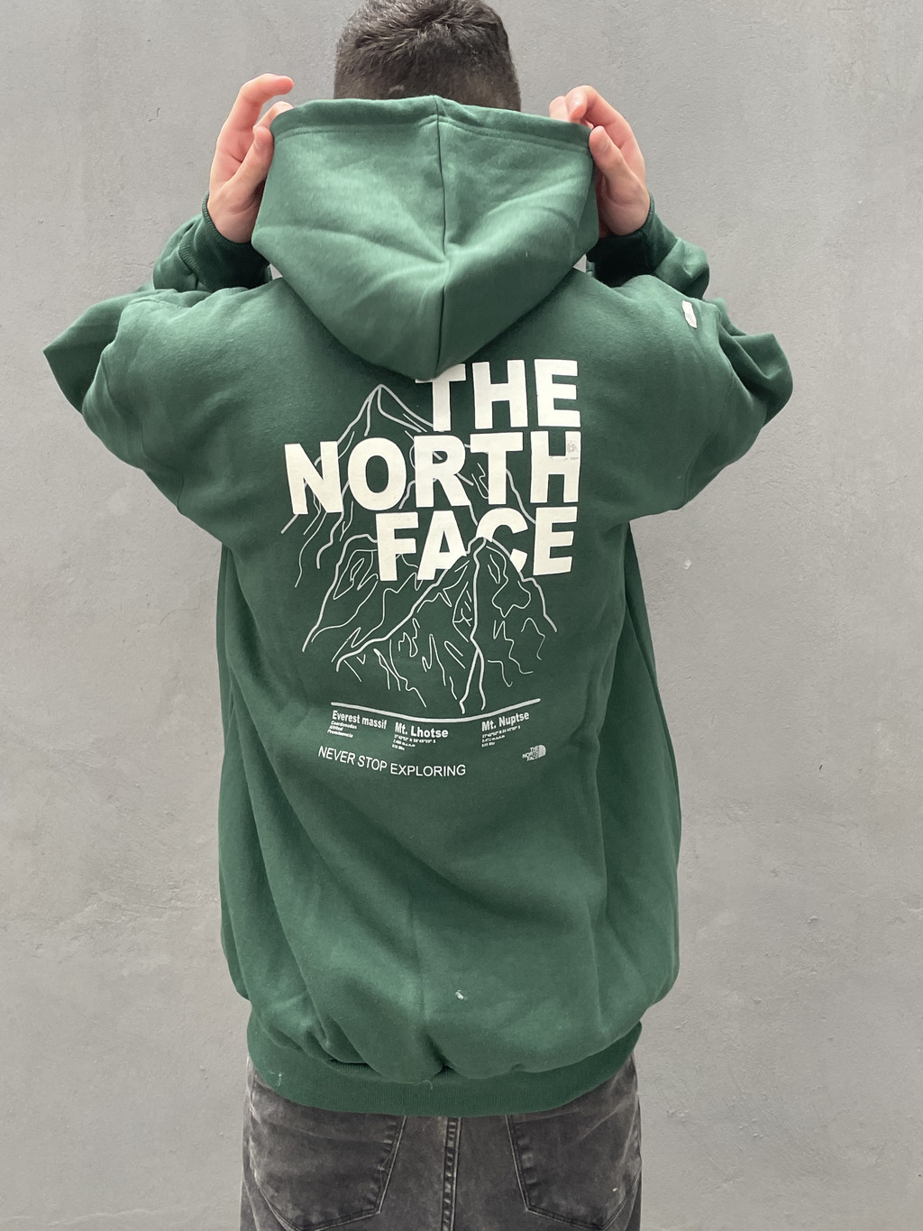 Buzo north face sale