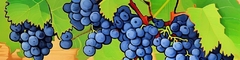 Banner da categoria Merlot