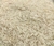 Arroz Basmati Pakistan