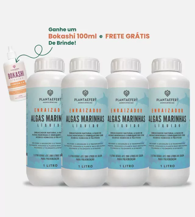 Kit de Enraizador de Algas Marinhas