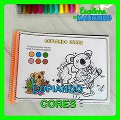 COPIANDO CORES - comprar online