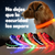 Collar LED para mascotas! No vuelvas a perder a tu compañero! - comprar online