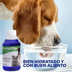 Dental Plax - Antiséptico Bucal para Mascotas - comprar online