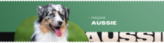 Banner da categoria Pastor Australiano