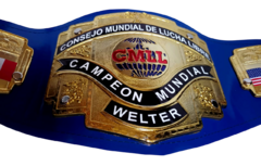 Cinturón Campeón Mundial Welter en internet