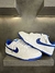 Nike dunk Blue/white - Flowflex