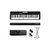 Teclado Portatil Casio Ct-s100 61 Teclas Usb Soporte Funda