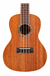 Ukelele Tamano Concierto Cordoba 15cm Caoba Cuerdas Aquila