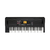 Teclado Korg Ek-50L Entertainer Arranger 61 Teclas