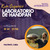 Laboratorio de Handpan Con Kren Organico - Nivel Intermedio- Lunes 19 30hs