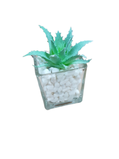 Pack X12 Plantas Artificial en Maceta Vidrio Cactus Suculenta - AFSTORE