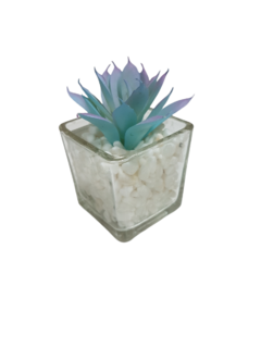 Pack X12 Plantas Artificial en Maceta Vidrio Cactus Suculenta - tienda online