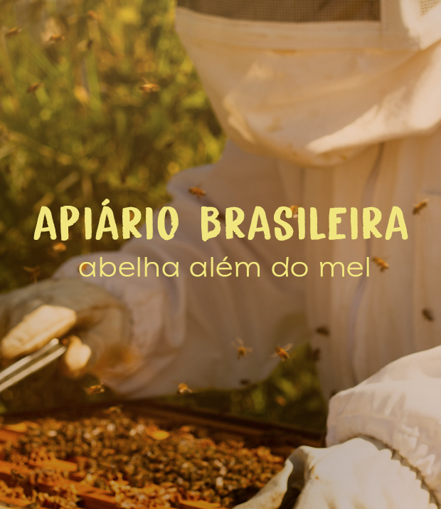 Banner de Apiário Brasileira