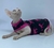 Silhueta Sphynx Pink UV - comprar online