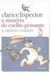 Misterio do Coelho Pensante e Outros Contos - Autor: Clarice Lispector (2019) [seminovo]