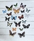 Set de stickers Specimen Butterfly