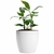 Maceta Premium N22 - Zotami Plantas