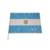 BANDERA PLASTICA GRANDE DE ARGENTINA X25 UNIDADES 60X42CM