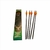 Kit Com 5 Setas de Carbono 20" Barnett Para Balestras 16075