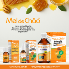 XAROPE DE PRÓPOLIS, GENGIBRE E MEL DE CHÃO Muwiz 150ml - comprar online