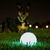 Bola Para Cães Max Glow Ball Chuckit! Brilha no Escuro - P, M e G na internet