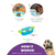 Tabuleiro Interativo Para Cães Paw N' Play Dog Nível 2 - Outward Hound - The Pet Box