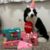 Box de Aniversário Para Cães Zippy Paws 3 Unidades - Rosa e Azul na internet