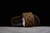 Imagem do LOUIS VUITTON SLIPPERS