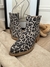 Bota Senegal Leopardo HEYAS - Cataleia