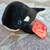 Peluche Orca/Ballena Pequeña Woody Toys - comprar online