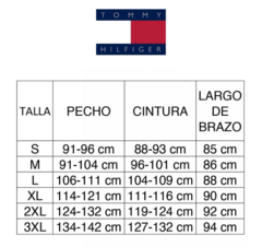 2 REMERAS TOMMY HILFIGER + GORRA DE REGALO ¡OFERTA 2X1! - comprar online