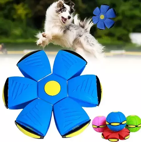 FlyBall Pelota Saltarina Con Luces Divertida