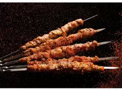 Espeto de churrasco em aço inoxidável, espetos reutilizáveis BBQ Kebab para acampamento ao ar livre, ferramentas de piquenique, cozinhar ferramentas, 10 pcs, 15pcs - Wolf Magazine