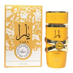 Unisex Long Lasting Body Perfume, Arabia Dubai Perfume, Fragrâncias Luxuosas para Homens e Mulheres, 100ml na internet