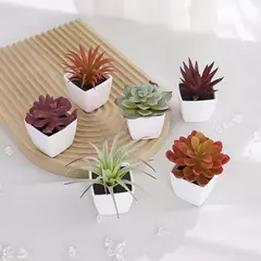 Mini suculenta artificial planta verde plástico Wwhite bacia, Home Window Sill, Restaurante Desktop Bookshelf Decoração, 6pcs por conjunto na internet