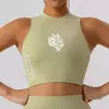 Camisa de barriga sem mangas para mulheres, blusa curta, colete fino, sutiã elástico de ginástica, ioga feminina e corrida, moda feminina escura, esporte, 2024