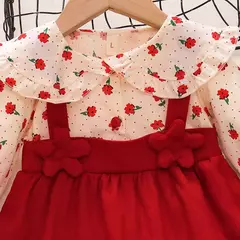 Outono novas meninas recém-nascidas vestido de manga longa dos desenhos animados fragmentado flor lapela bebê vestido de princesa flor cinta vestido - loja online