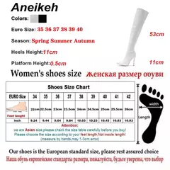 Aneikeh-sexy sobre as botas do joelho com zíper lateral para as mulheres, dedo apontado sapatos, saltos finos listrados, nova moda, primavera, 24 - loja online