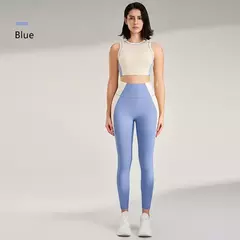 Roupas coloridas de secagem rápida para mulheres, roupa de treino de ginástica, camiseta recolhida, calças apertadas para levantar o quadril - Wolf Magazine