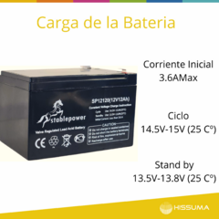 Batería VLRA 12V 12Ah (alarmas/boyeros/vehiculos eléctricos pequeños) en internet