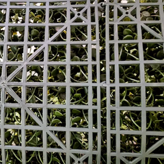 Jardin vertical artificial panel cesped muro cerco SUPER FRONDOSOS Mod. 087 - comprar online