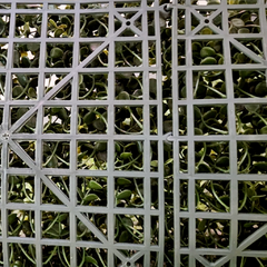Jardin vertical artificial panel cesped muro cerco SUPER FRONDOSOS Mod. 089 en internet