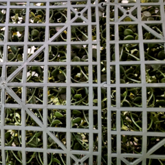 Jardin vertical artificial panel cesped muro cerco SUPER FRONDOSOS Mod. 088 - HISSUMA MATERIALES